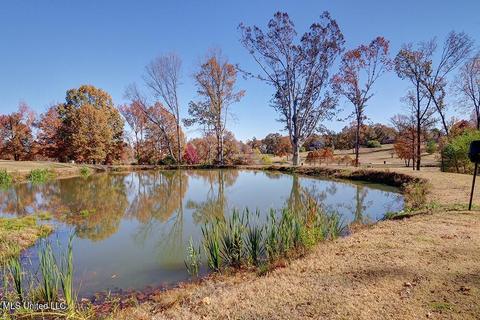 2377 Ross Rd, Olive Branch, MS 38654 photo 2