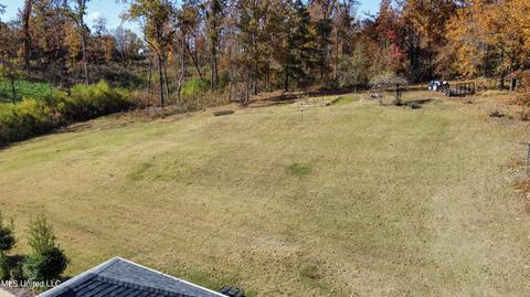 2377 Ross Rd, Olive Branch, MS 38654 photo 64