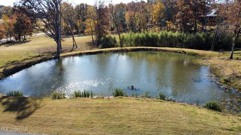 2377 Ross Rd, Olive Branch, MS 38654 photo 55