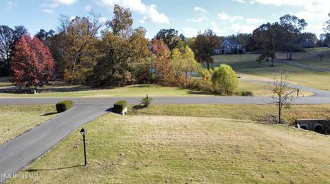 2377 Ross Rd, Olive Branch, MS 38654 photo 52