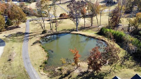 2377 Ross Rd, Olive Branch, MS 38654 photo 56