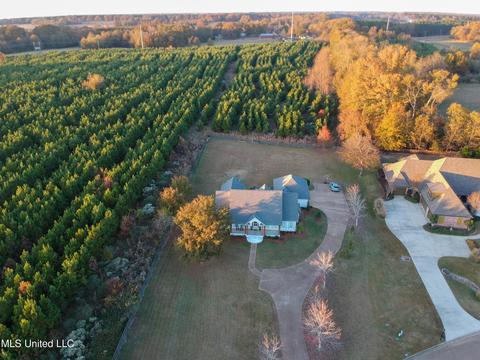 194 Northshore Blvd, Madison, MS 39110 photo 7