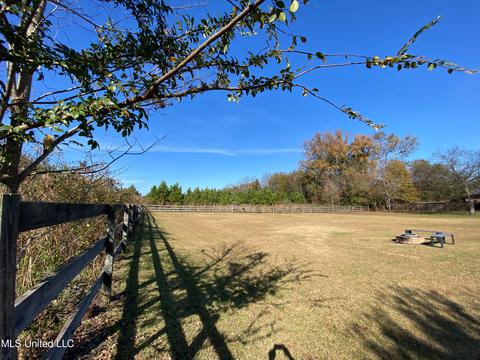 194 Northshore Blvd, Madison, MS 39110 photo 64