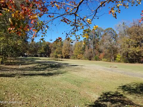506 Dixton Dr, Brandon, MS 39047 photo 20