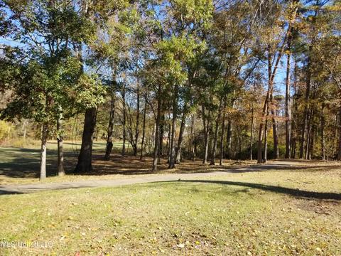 506 Dixton Dr, Brandon, MS 39047 photo 21