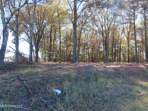 0 Johnston Pl, Clinton, MS 39056 photo 2
