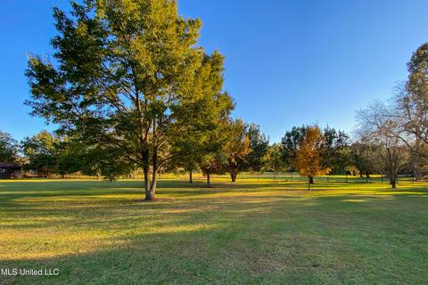 379 Saint Augustine Drive Dr, Madison, MS 39110 photo 14