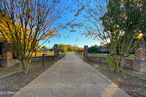 379 Saint Augustine Drive Dr, Madison, MS 39110 photo 3