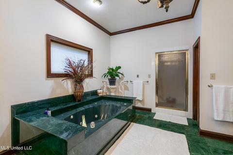 379 Saint Augustine Drive Dr, Madison, MS 39110 photo 56
