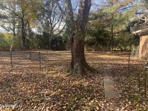 2455 Old Jackson Rd, Terry, MS 39170 photo 23