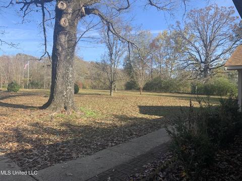 2455 Old Jackson Rd, Terry, MS 39170 photo 18