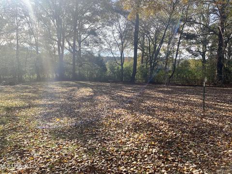 2455 Old Jackson Rd, Terry, MS 39170 photo 22