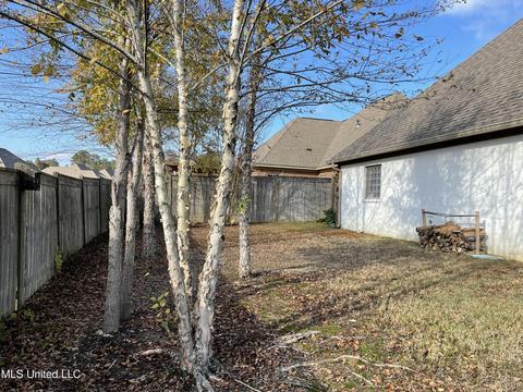 130 Amethyst Ln, Brandon, MS 39047 photo 11