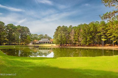 905 Luckney Rd, Flowood, MS 39232 photo 1