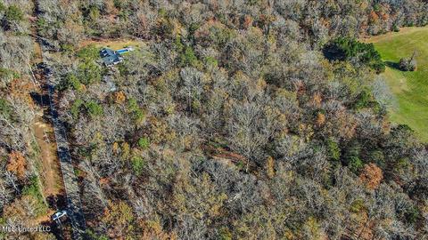 163 S Eagle Ridge Dr, Florence, MS 39073 photo 38