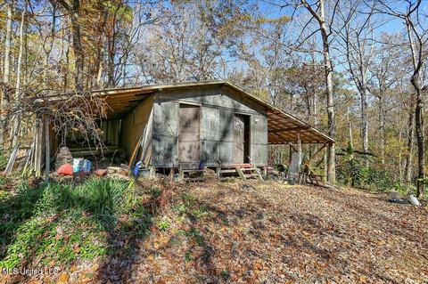 163 S Eagle Ridge Dr, Florence, MS 39073 photo 32