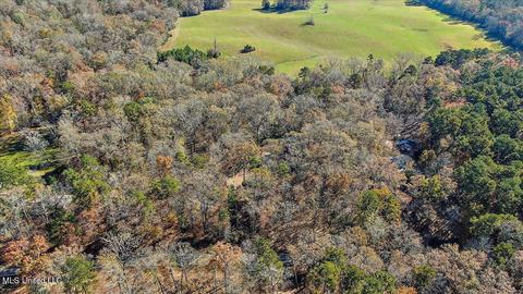 163 S Eagle Ridge Dr, Florence, MS 39073 photo 36