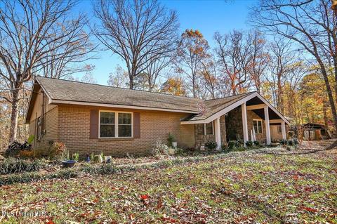 163 S Eagle Ridge Dr, Florence, MS 39073 photo 3