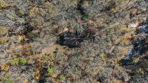 163 S Eagle Ridge Dr, Florence, MS 39073 photo 39