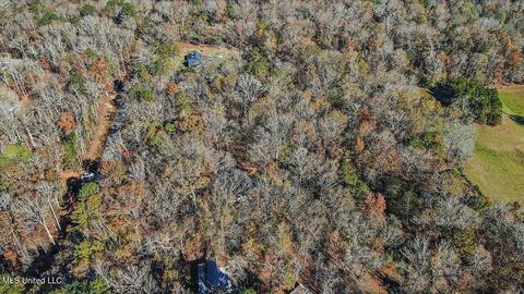 163 S Eagle Ridge Dr, Florence, MS 39073 photo 37