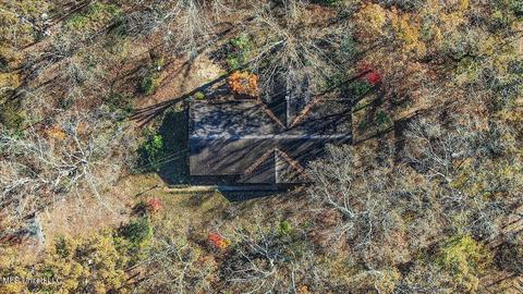 163 S Eagle Ridge Dr, Florence, MS 39073 photo 40