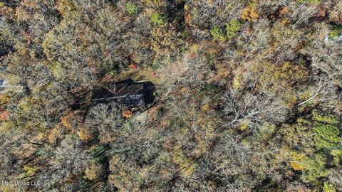 163 S Eagle Ridge Dr, Florence, MS 39073 photo 42