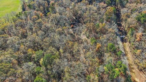 163 S Eagle Ridge Dr, Florence, MS 39073 photo 44