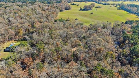 163 S Eagle Ridge Dr, Florence, MS 39073 photo 35