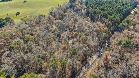163 S Eagle Ridge Dr, Florence, MS 39073 photo 43