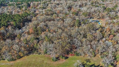 163 S Eagle Ridge Dr, Florence, MS 39073 photo 41
