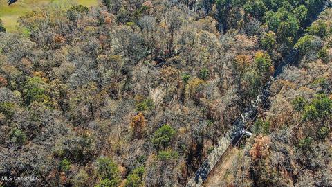 163 S Eagle Ridge Dr, Florence, MS 39073 photo 45