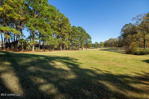 488 Annandale Pkwy, Madison, MS 39110 photo 32