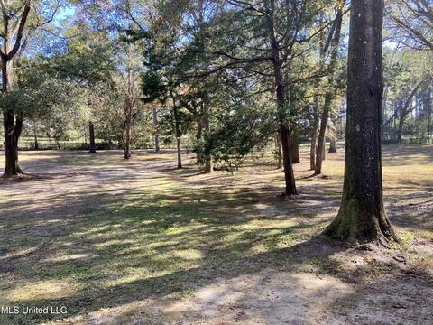 188 Devaughn Rd, Lucedale, MS 39452 photo 6