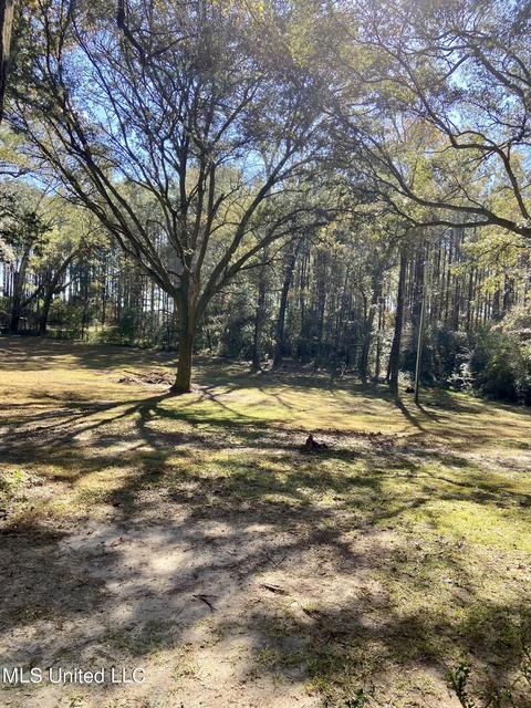 188 Devaughn Rd, Lucedale, MS 39452 photo 7