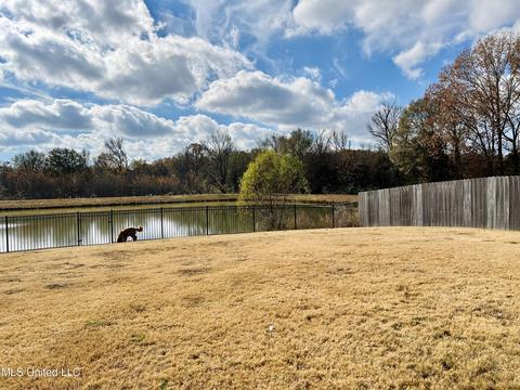 206 Falls Xing, Madison, MS 39110 photo 24