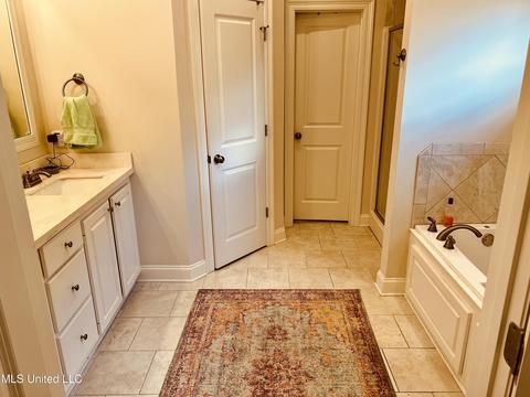 206 Falls Xing, Madison, MS 39110 photo 15