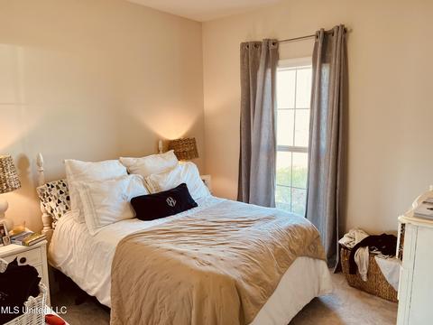 206 Falls Xing, Madison, MS 39110 photo 19