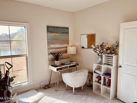 206 Falls Xing, Madison, MS 39110 photo 20
