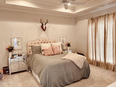 206 Falls Xing, Madison, MS 39110 photo 13