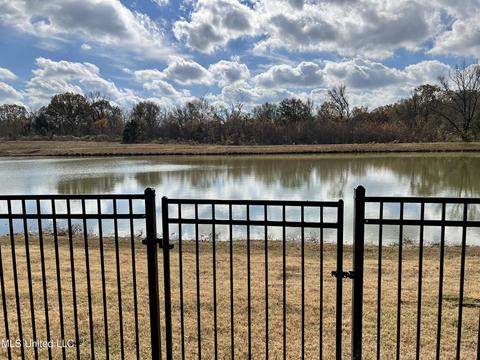 206 Falls Xing, Madison, MS 39110 photo 25