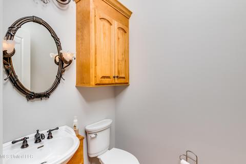304 Crimson Crown, Flowood, MS 39232 photo 26