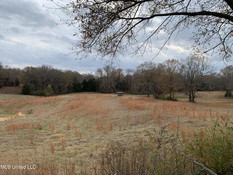 2876 Rifle Range Rd, Coldwater, MS 38618 photo 11
