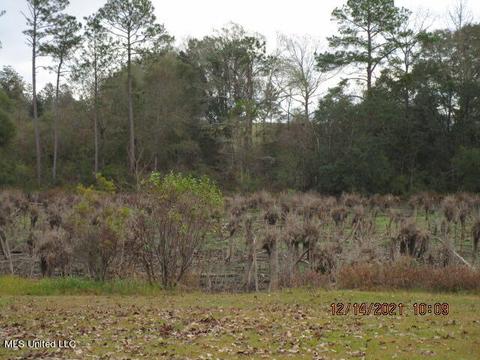 181 August Ln, Lucedale, MS 39452 photo 23
