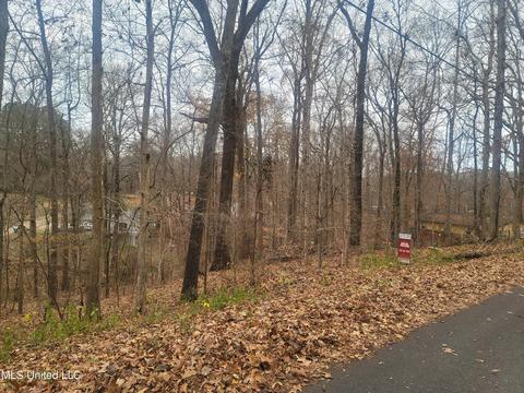 3321 W Glen Gyle Rd, Hernando, MS 38632 photo 1