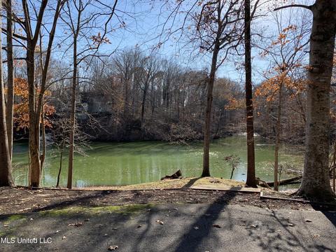 3570 Ben Ledis Rdg, Hernando, MS 38632 photo 3