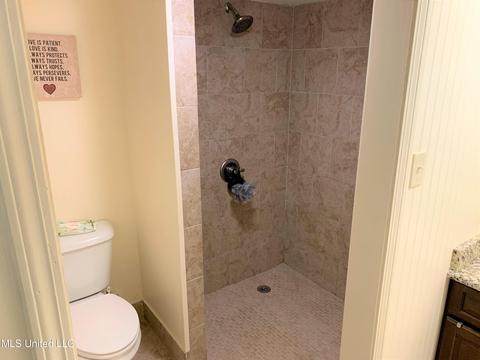 3570 Ben Ledis Rdg, Hernando, MS 38632 photo 49