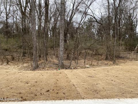 137 Paylors Way, Madison, MS 39110 photo 22