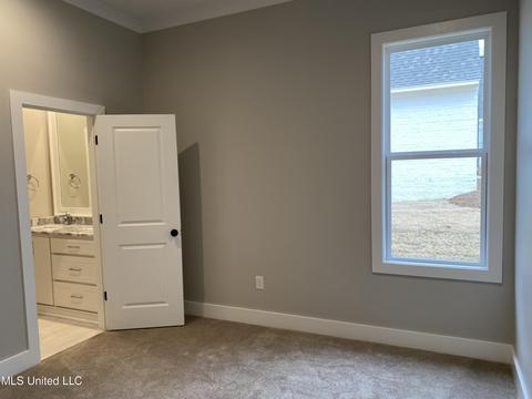 137 Paylors Way, Madison, MS 39110 photo 19