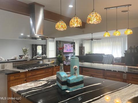 204 Lotus Dr, Brandon, MS 39047 photo 5