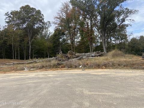 4491 Jenny Ln, Hernando, MS 38632 photo 3